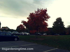 A Fall Afternoon at Black Hill Regional Park/Seneca Lake