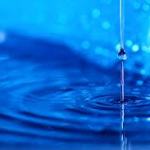 4 Ways to Know #Plant Needs Water! #gardeningtips #gardening