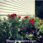 #SummerParade of Gorgeous #Flowers! #garden #gardening
