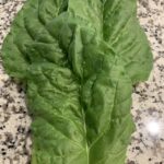 Grow Big Swiss Chard from Seed!